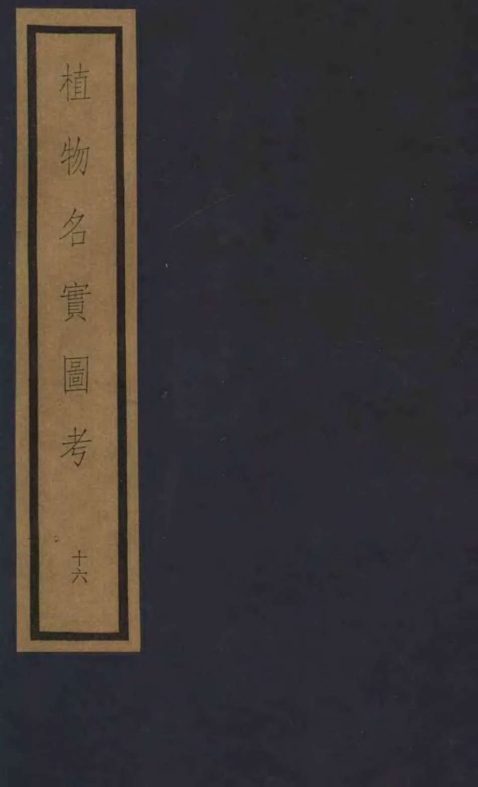 植物名实图考  第3函  16